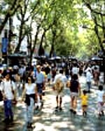 Un Paseo por la Rambla...